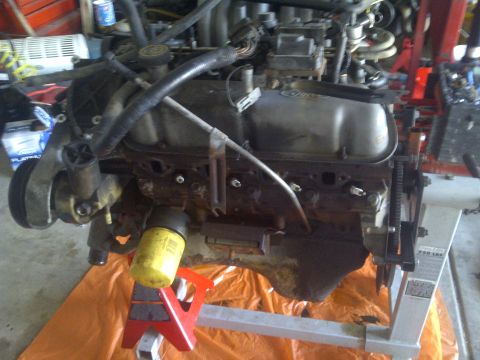 1995 Ford Bronco - This is a Ford V8 engine, likely out of a truck or SUV, resting on an engine stand.