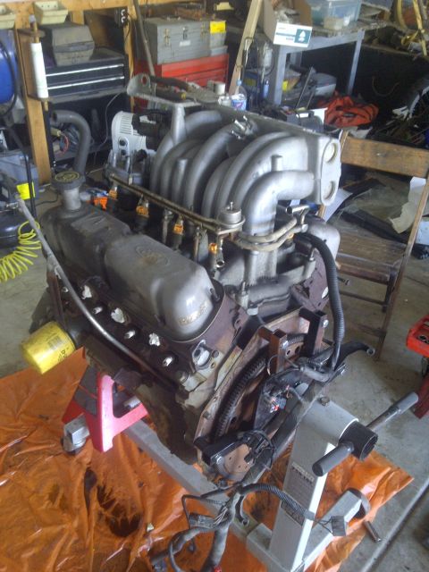 1995 Ford Bronco - Engine on stand, likely a Ford V8, with intake manifold and fuel rails attached.