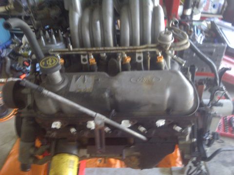 1995 Ford Bronco - Close-up of a Ford V8 engine, likely undergoing maintenance or a swap.