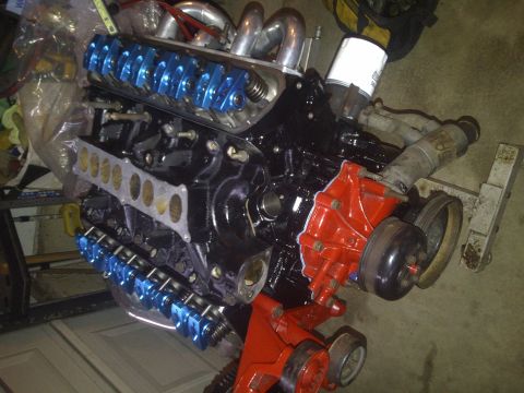 1995 Ford Bronco - A black V8 engine with blue valve covers and a red water pump is shown from an angled perspective.
