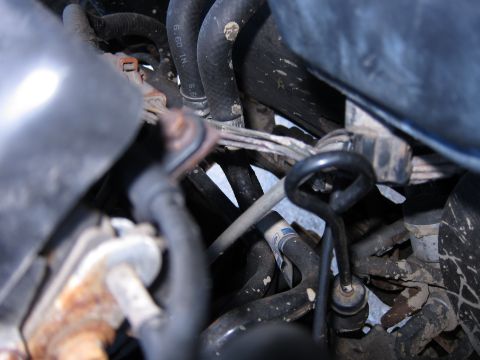 1991 Ford LTD Crown Victoria - Close-up view of various engine bay components, including hoses and wiring harnesses.