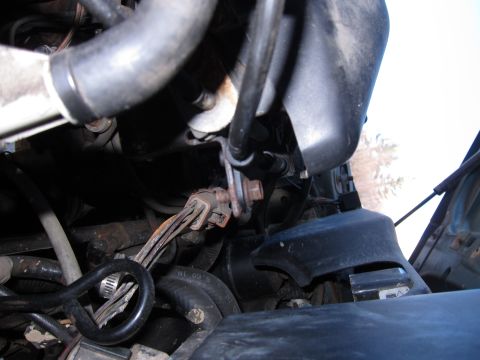 1991 Ford LTD Crown Victoria - A close-up view of a vehicle's engine bay, focusing on wiring and hoses.
