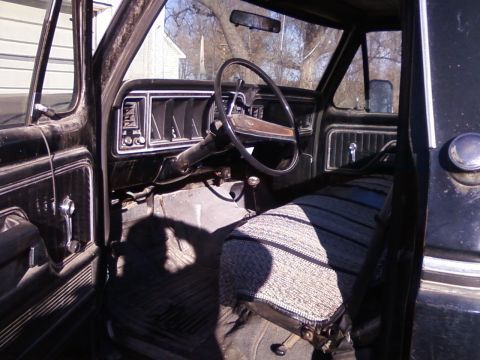 1977 Ford F-150 photo