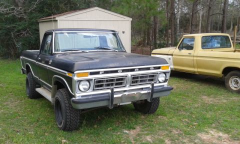 1977 Ford F-150 photo