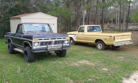 1977 Ford F-150 photo