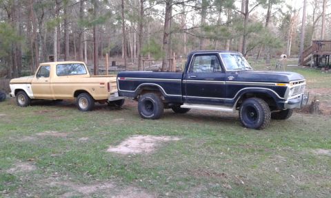 1977 Ford F-150 photo