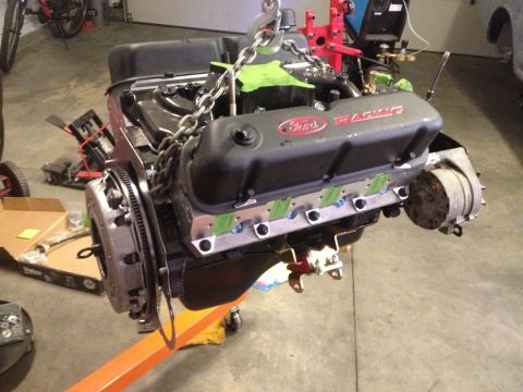 1965 Ford Mustang - 65 Mustang 302 ready for bell housing T5