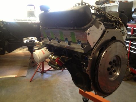 1965 Ford Mustang - 65 Mustang Poly motor mounts