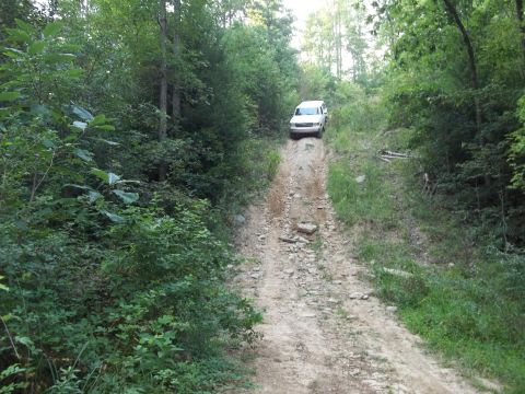1990 Ford Bronco - A white 1990 Ford Bronco navigates a challenging dirt path through a wooded area.