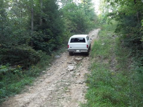 1990 Ford Bronco - White 1990 Ford Bronco navigates a rough, unpaved path through a dense forest.