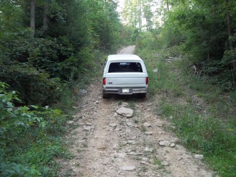 1990 Ford Bronco - A white 1990 Ford Bronco navigates a rough, unpaved path through a dense forest.