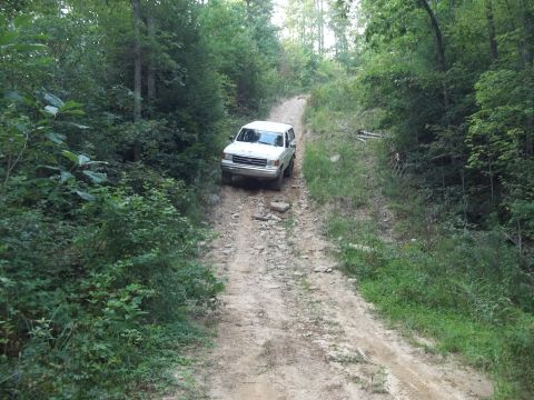 1990 Ford Bronco - A white 1990 Ford Bronco navigates a challenging dirt path surrounded by dense forest.