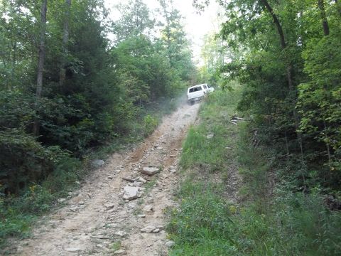 1990 Ford Bronco - White SUV navigates a challenging off-road path on a wooded hill.