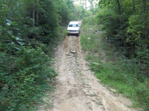 1990 Ford Bronco - A white van navigates a challenging dirt road surrounded by dense forest foliage.