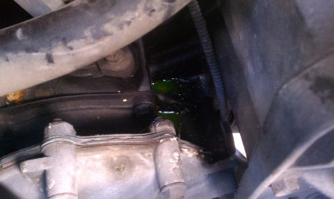 1995 Ford Bronco - Green fluid is leaking from the engine compartment, indicating a potential coolant issue.
