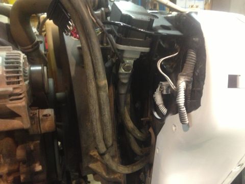 2000 Jeep TJ - This image shows various engine components, including hoses and wiring, in a vehicle's engine bay.