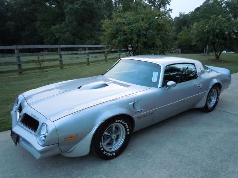 1977 Pontiac Firebird photo