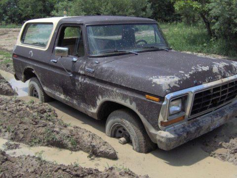 1979 Ford Bronco photo