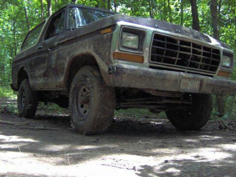 1979 Ford Bronco photo
