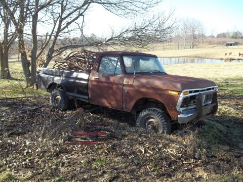 1976 Ford F-100 photo