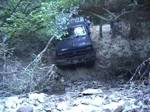 1983 Ford Bronco - A vehicle navigates a challenging off-road path through dense foliage and uneven terrain.