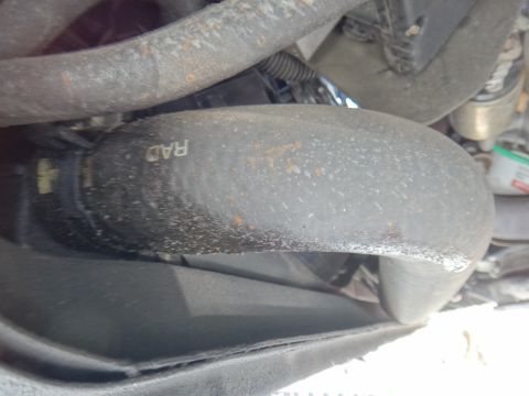 2000 Lincoln Continental - Close-up of a radiator hose with visible text and signs of age.