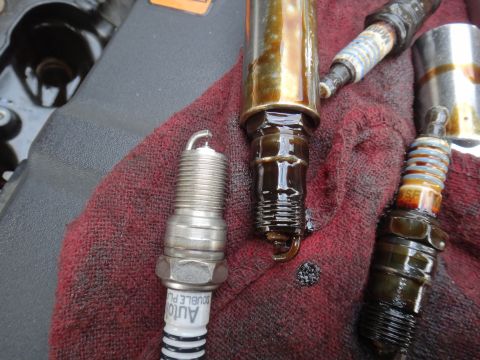 2000 Lincoln Continental - A clean spark plug sits next to three heavily fouled spark plugs, indicating potential engine issues.