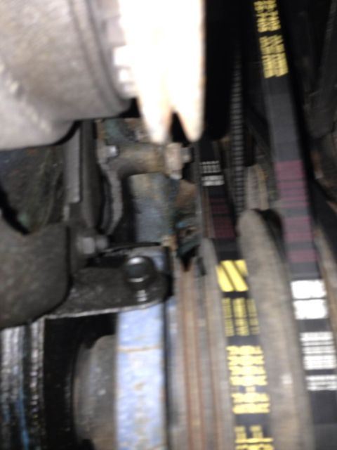 1979 Ford Bronco - Close-up view of engine belts, some with visible text and colored stripes.