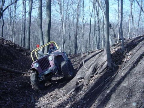 1992 Ford Bronco - A purple Jeep Wrangler navigates an off-road trail through a dense forest.