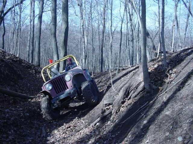 Purple Jeep Wrangler climbing a wooded hill, driver visible