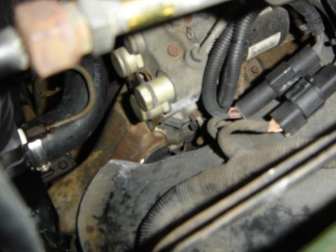 1996 Ford Bronco - Engine bay detail showing various hoses and wiring harnesses.