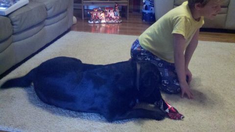 1995 Ford Bronco - A child and their dog are playing indoors on a carpeted floor.