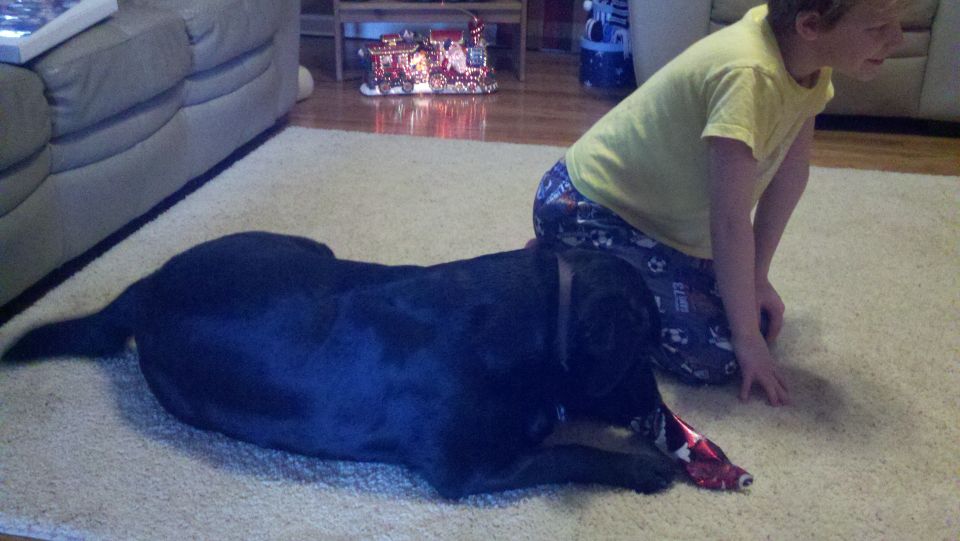 Black dog on a rug with a kid kneeling nearby