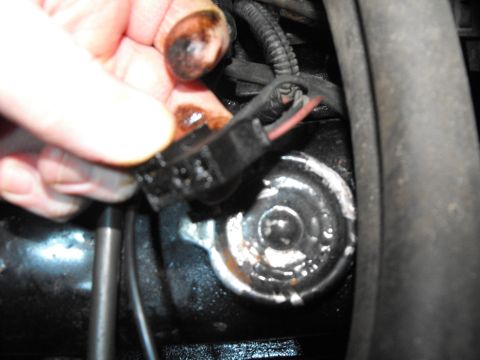 1983 Chrysler Fifth Avenue - Disconnecting an electrical connector from an engine part.