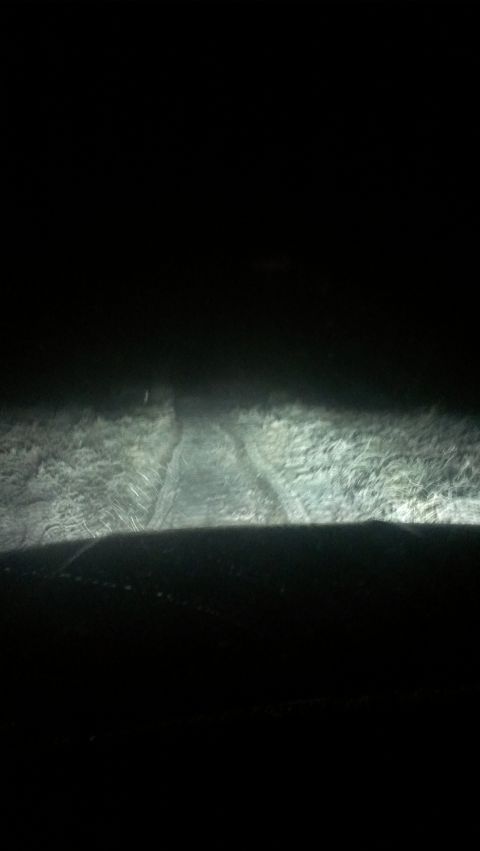 1995 Ford Bronco - Headlights illuminate a dark, unpaved road at night, with tall grass on either side.