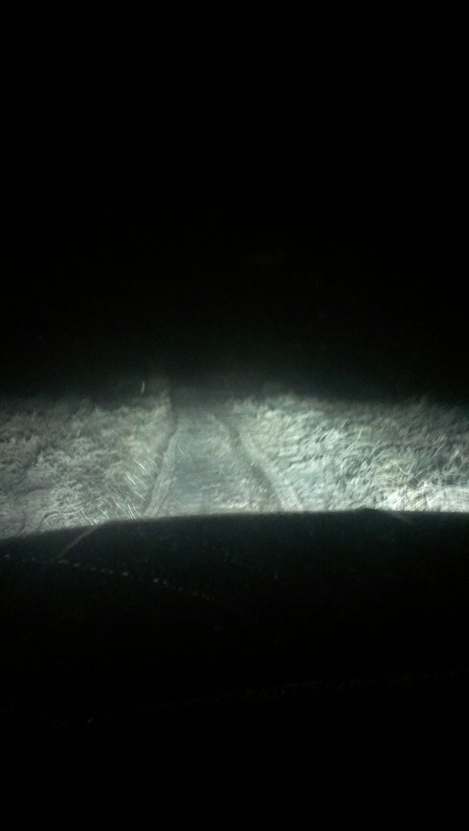 Dark road at night with headlights illuminating the path and grassy sides