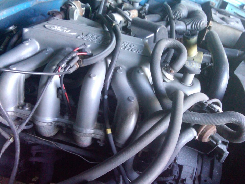 Close-up of a Ford engine with silver intake manifold and various hoses