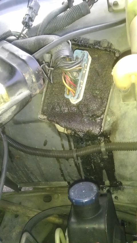 1982 Jeep Wagoneer - Close-up of a vehicle's engine bay showing a messy wiring harness and a power steering fluid reservoir.
