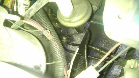 1982 Jeep Wagoneer - Close-up view of engine components with visible oil residue and electrical wiring.