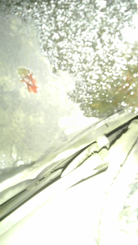 1982 Jeep Wagoneer - Windshield wiper blade and reflections on a wet windshield.