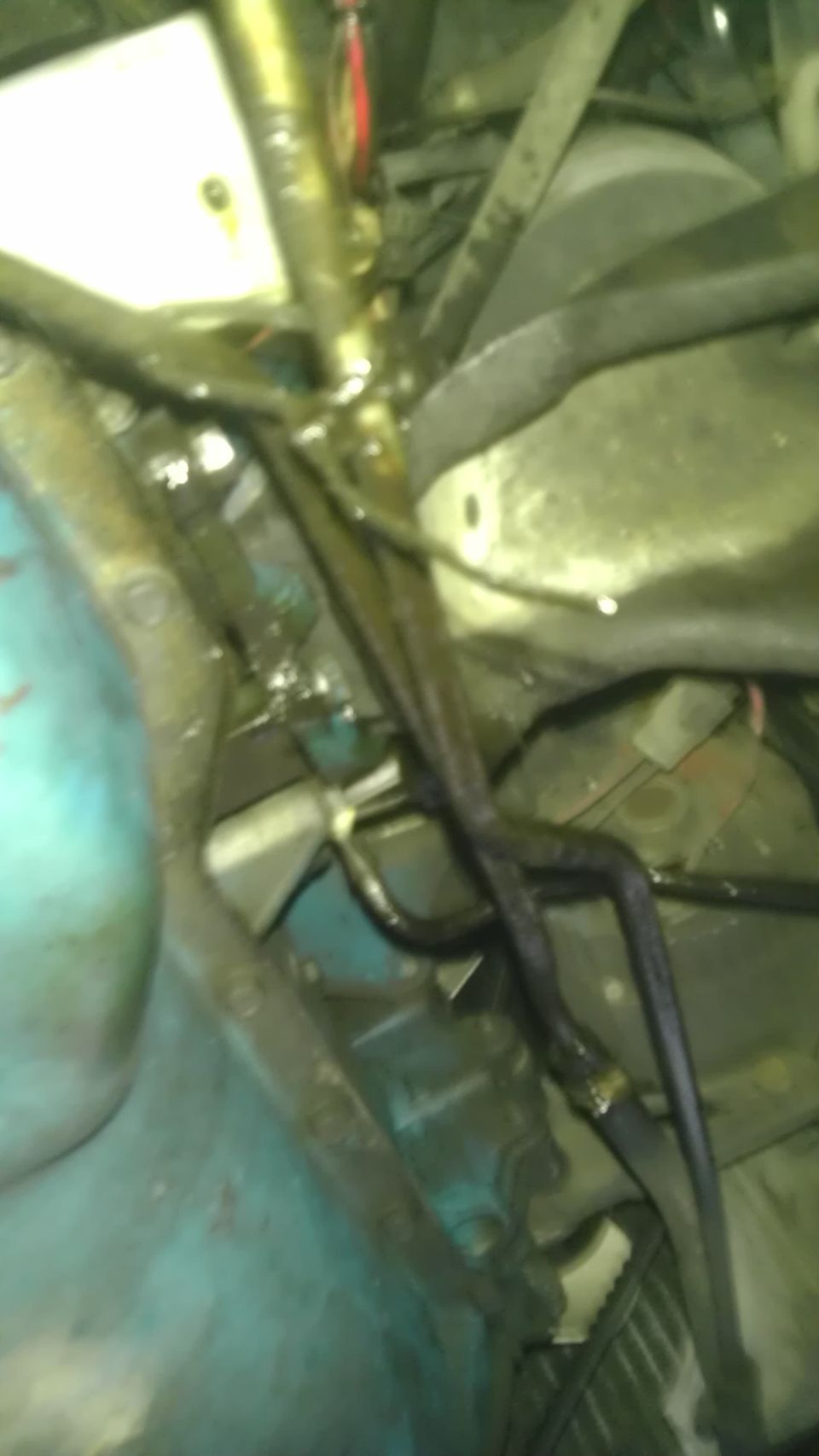 Engine bay hoses and fluid lines