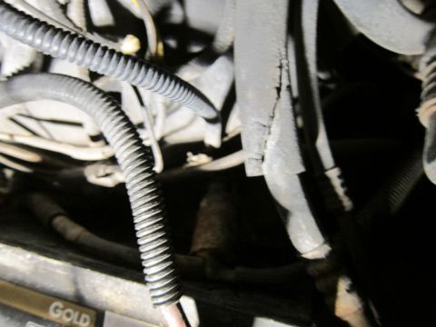 1991 Ford LTD Crown Victoria - Engine bay wiring and hoses are visible, along with a partial 'GOLD' label.