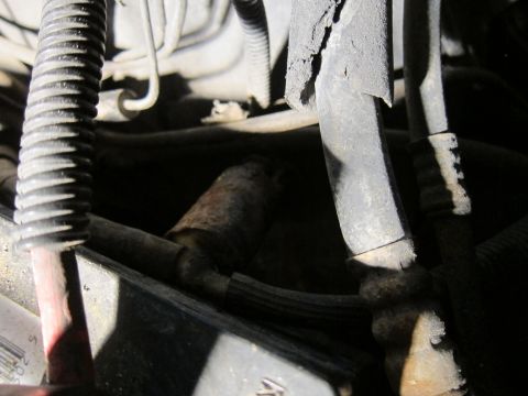 1991 Ford LTD Crown Victoria - A look at the engine bay components, including hoses and electrical wiring.