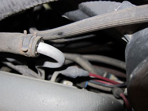 1991 Ford LTD Crown Victoria - Close-up view of hoses and electrical wiring within a vehicle's engine compartment.