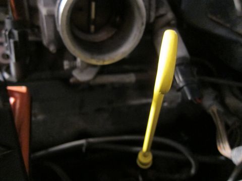 1991 Ford LTD Crown Victoria - Close-up of an engine's oil dipstick and throttle body.