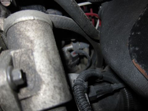 1991 Ford LTD Crown Victoria - Engine bay details showing various hoses, wiring harnesses, and mechanical components.