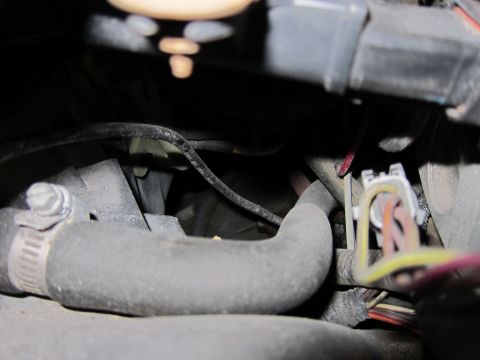 1991 Ford LTD Crown Victoria - Close-up view of engine components, including hoses and wiring harness.