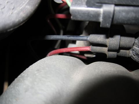 1991 Ford LTD Crown Victoria - A close-up view of automotive wiring shows red and black wires connected to a black plastic harness.