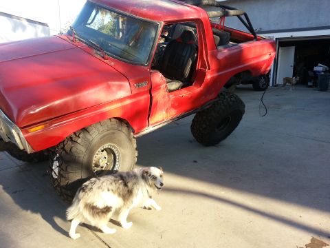 1978 Ford Bronco - A red 1978 Ford Bronco is shown with a lifted suspension and large off-road tires, accompanied by a dog in the foreground.