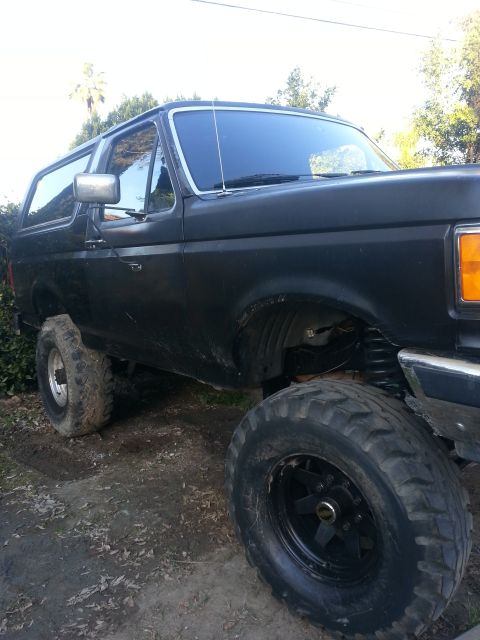 1978 Ford Bronco photo